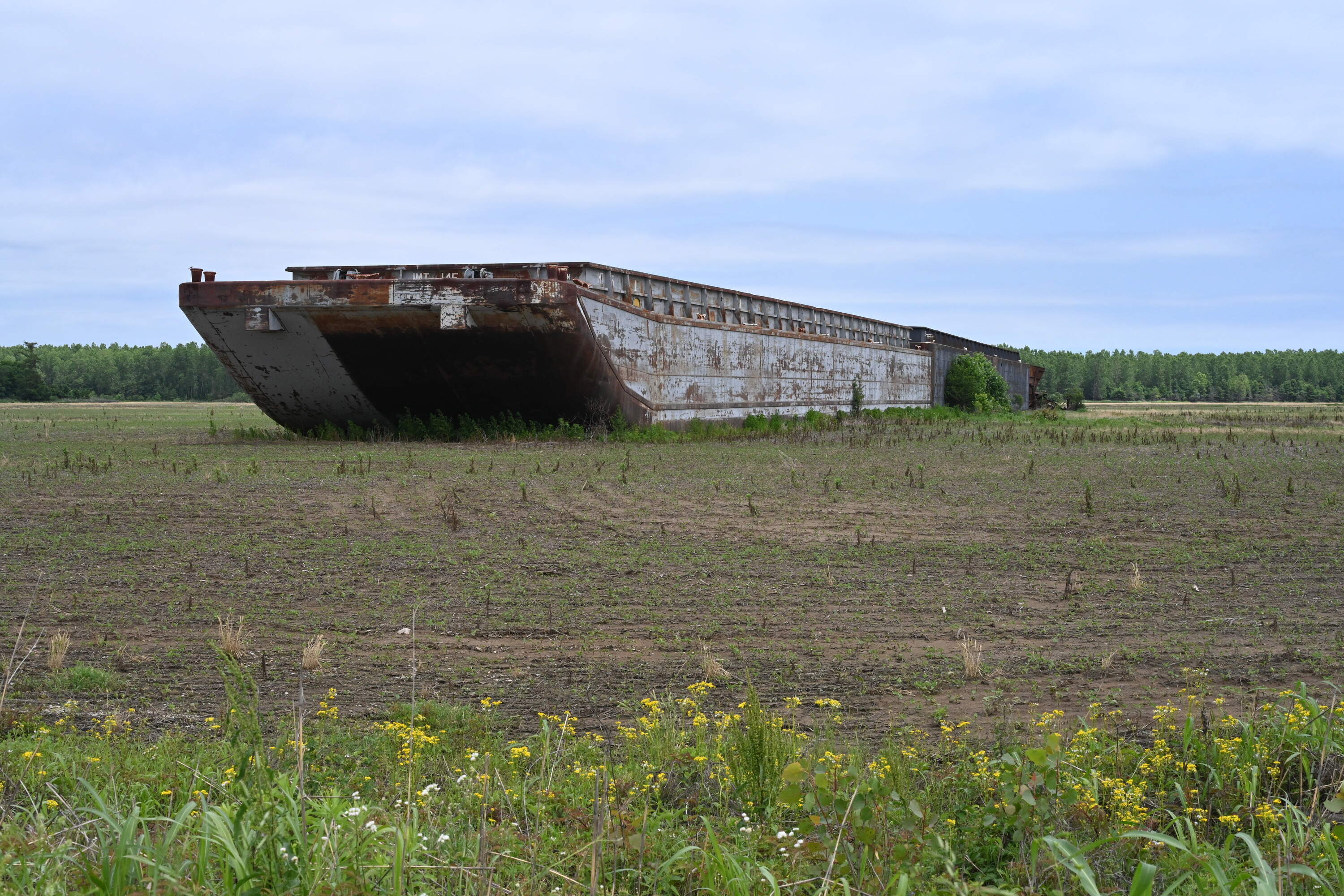 A barge sits on farmland, washed aground by a flood in 2019. (Chris Bentley/Here &amp; Now)