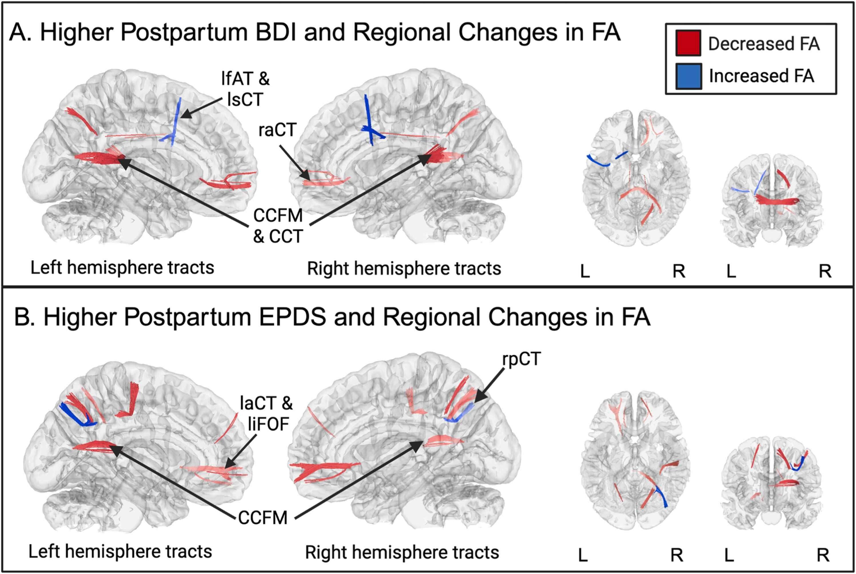  The new science of 'dad brain' 