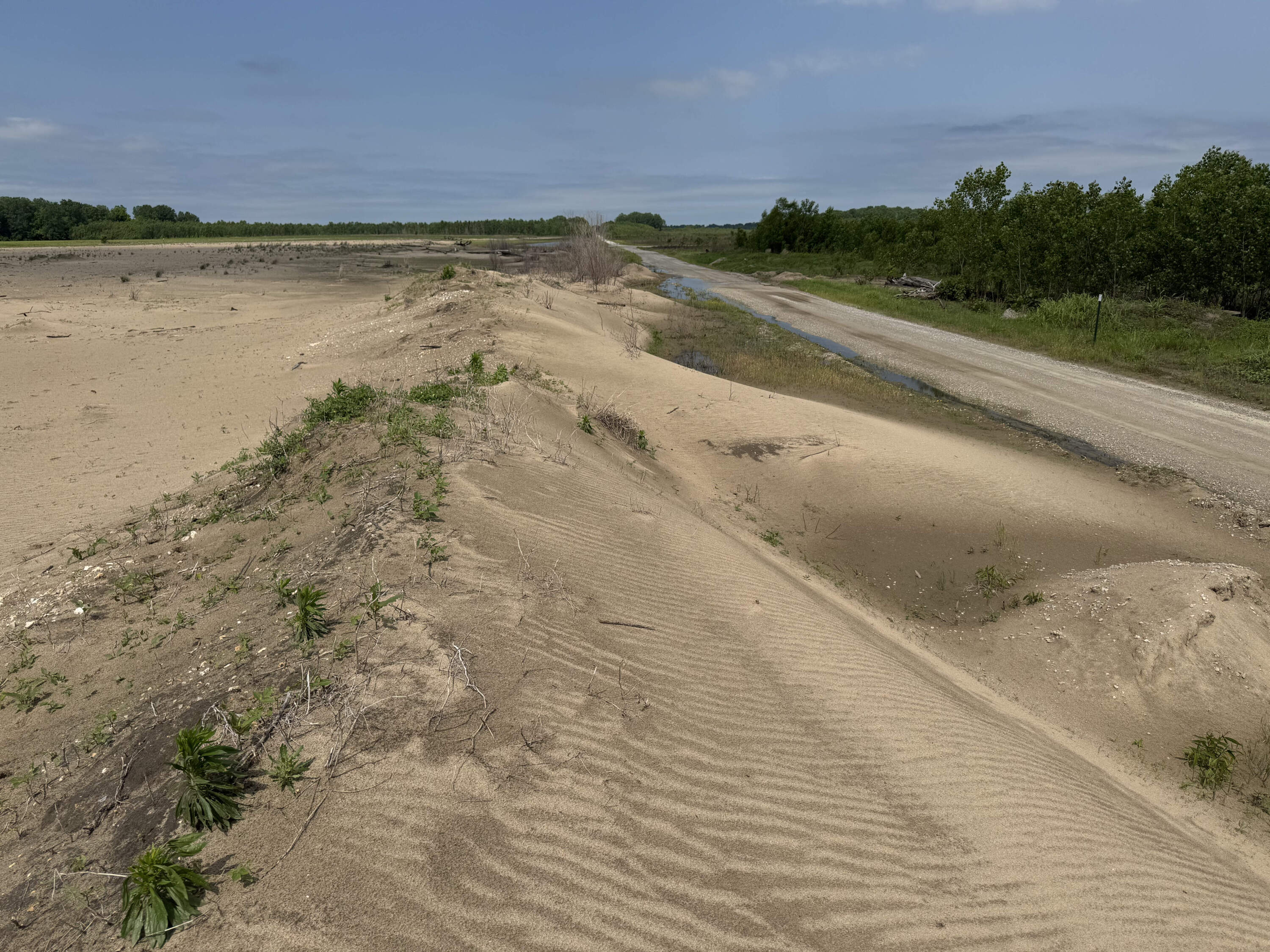 A 2016 flood dumped 300 million tons of sand on Dogtooth Bend. (Chris Bentley/Here &amp; Now)
