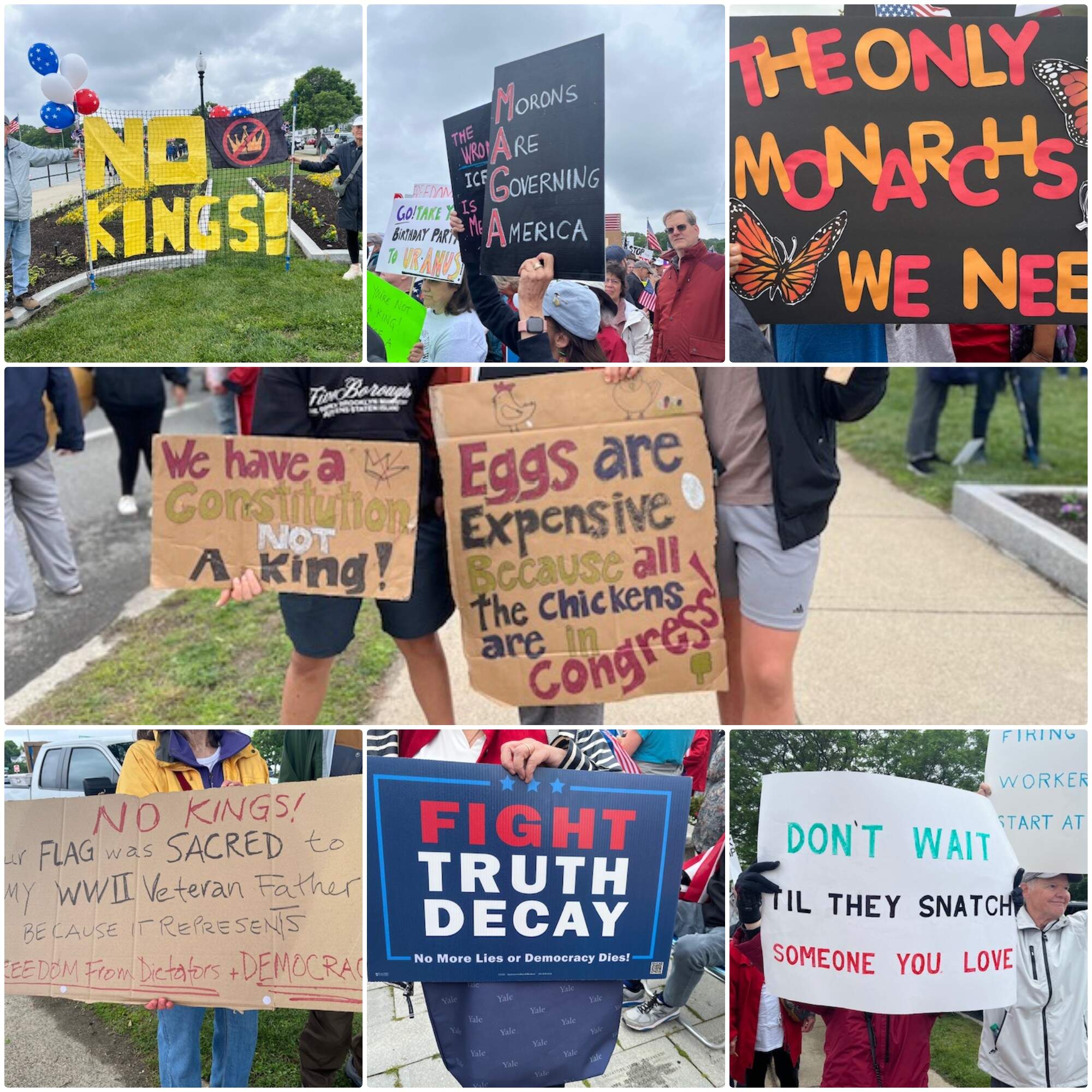 A collage of pictures of posters, taken by the author, at a rally against President Trump's policies in Gloucester, Mass. (Courtesy Anita Diamant)