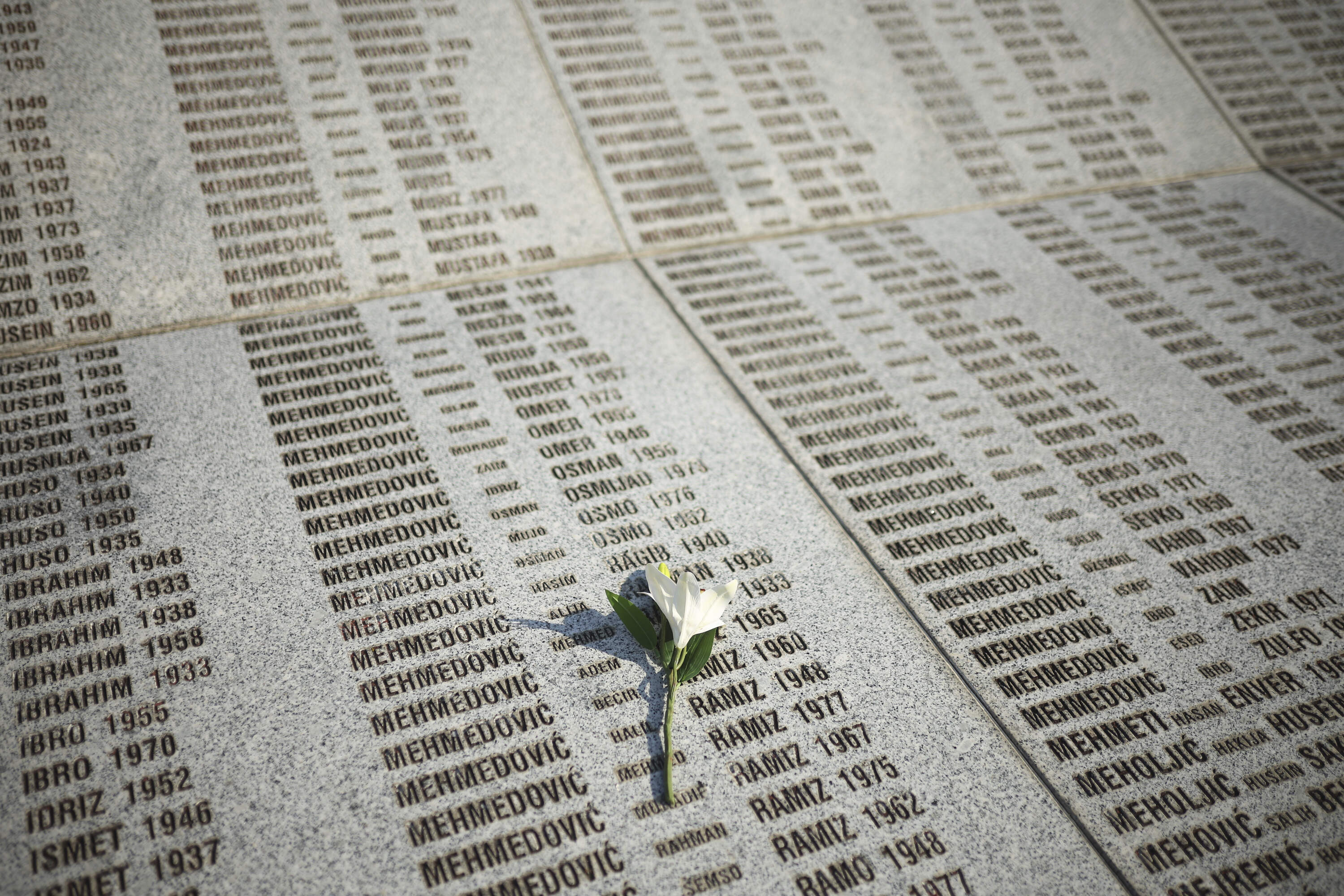 A flower is seen on a monument with the names of those killed in the Srebrenica genocide, at the Memorial Center in Potocari, Bosnia, Friday, July 11, 2025. (Armin Durgut/AP)