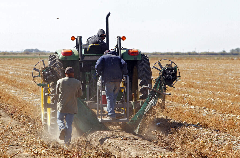  Why American farmers rely on unauthorized workers 