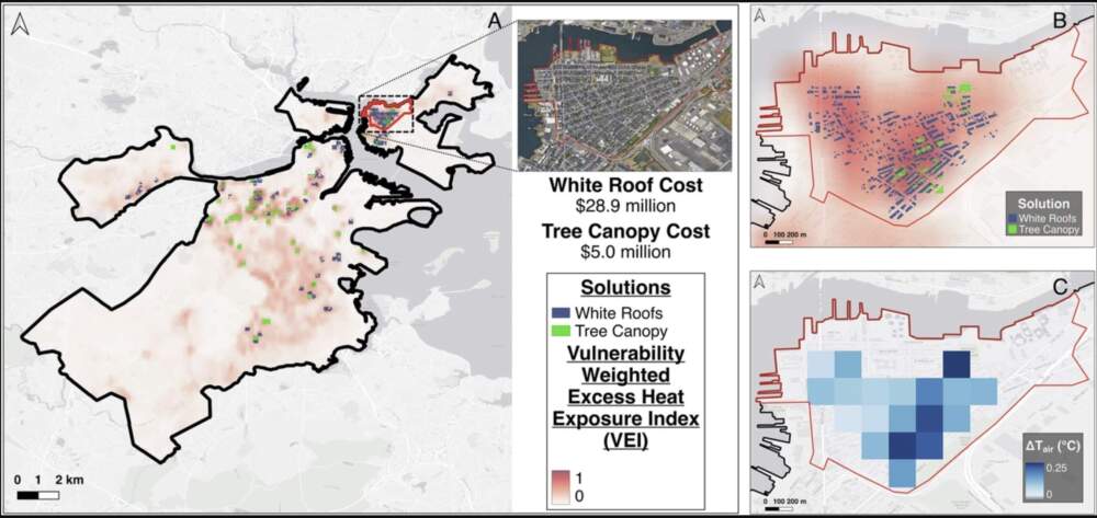A map showing the ideal tree and cool roof combination to reduce heat effects for Boston's neighborhoods. (Courtesy Ian Smith)