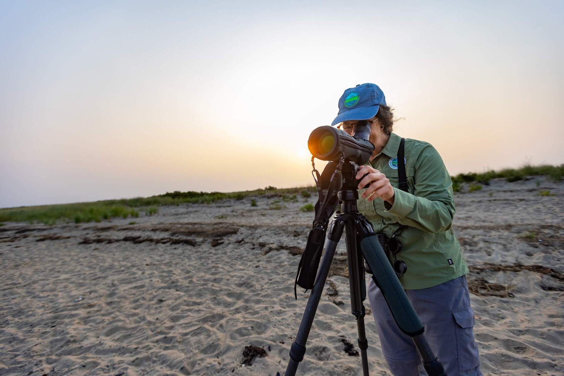 Shorebird biologist Liana DiNunzio of Manomet Conservation Sciences scans Duxbury Beach looking for migrating shorebirds. (Jesse Costa/WBUR)