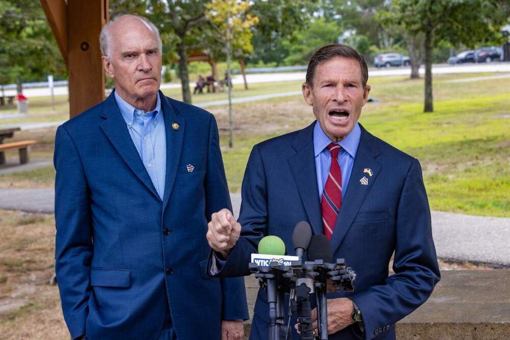 U.S. Sen. Richard Blumenthal speaks to the media with U.S. Rep. Bill Keating shortly after his visit with Zia S. at the ICE Detention Center at the Plymouth County Correctional Facility. (Jesse Costa/WBUR)