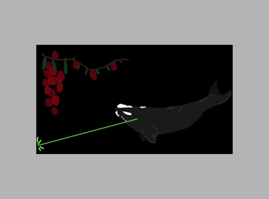 (Courtesy Massachusetts Seal, Flag, and Motto Advisory Commission)