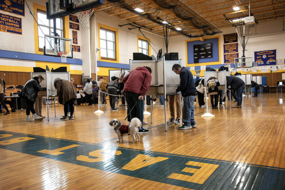 Voters cast their ballots during the 2024 election at East Boston High School. (Robin Lubbock/WBUR)