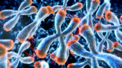 Brigham and Women's study finds vitamin D may slow biological aging