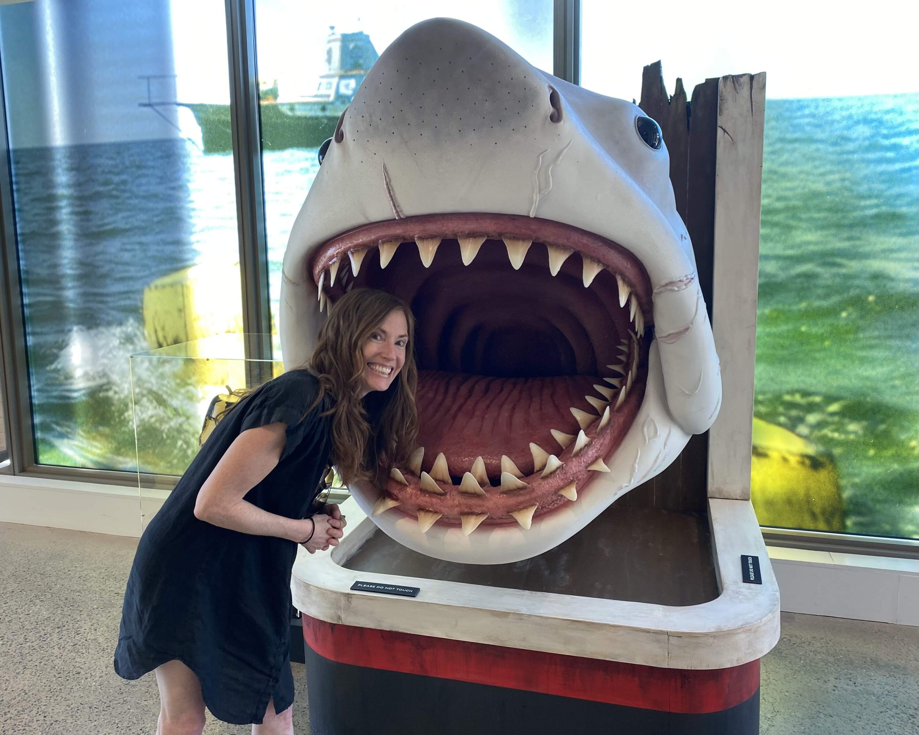 WBUR's Andrea Shea visiting the locals at the Martha's Vineyard Museum. (Sam Fleming for WBUR)