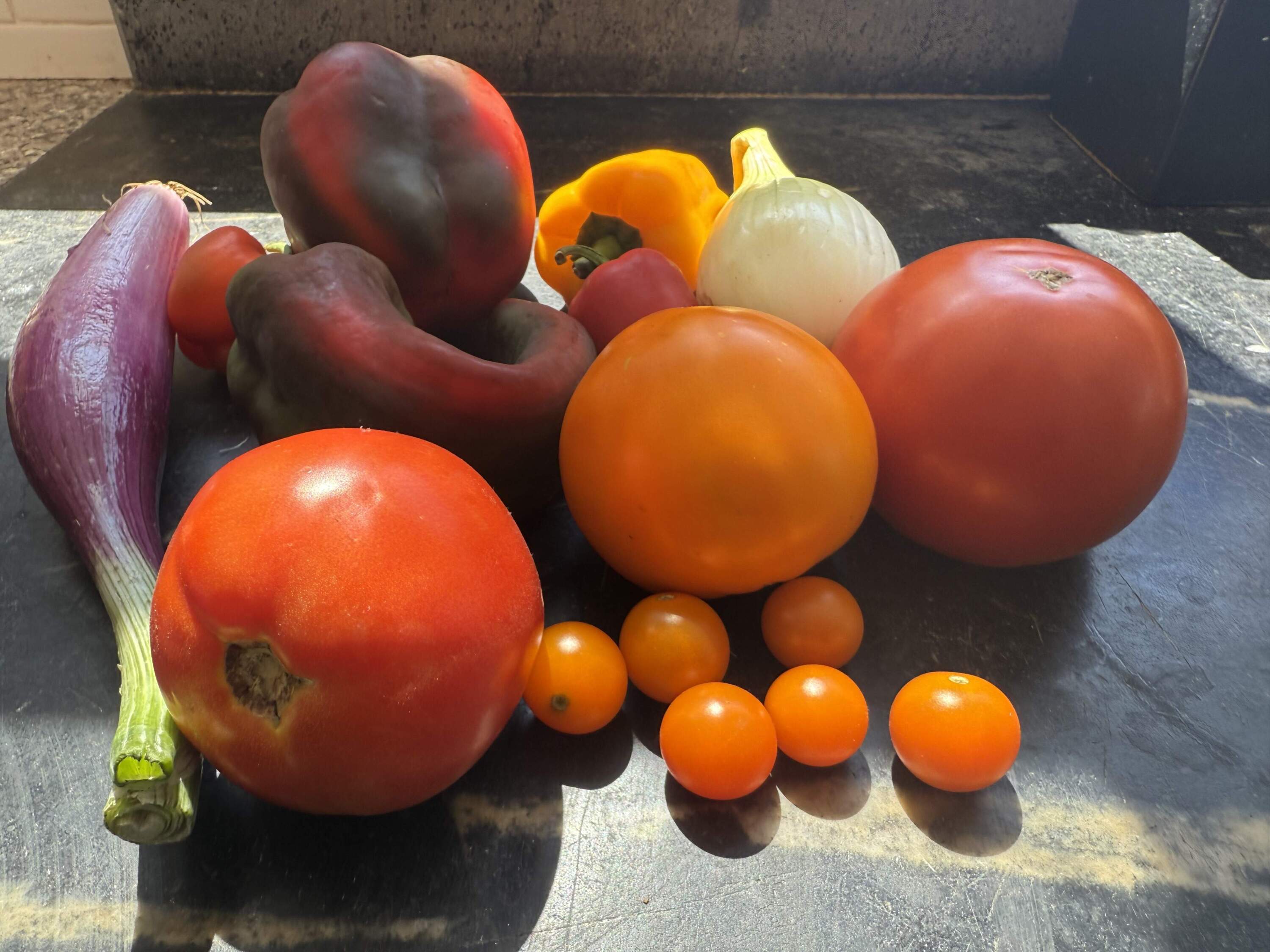 Tomatoes! (Kathy Gunst/Here & Now)