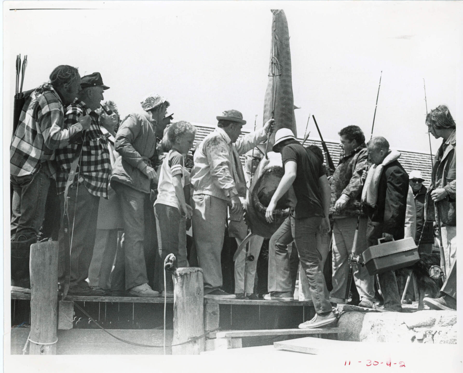 Vineyard resident Henry Carreiro, who played Felix the bounty hunter, stands to the left of the a decomposing tiger shark. (Courtesy of Edith Blake/Martha's Vineyard Museum)