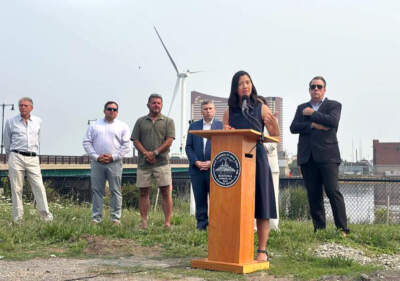 Wu battles Kraft family over Everett Stadium plan, as Josh Kraft hits back on White Stadium