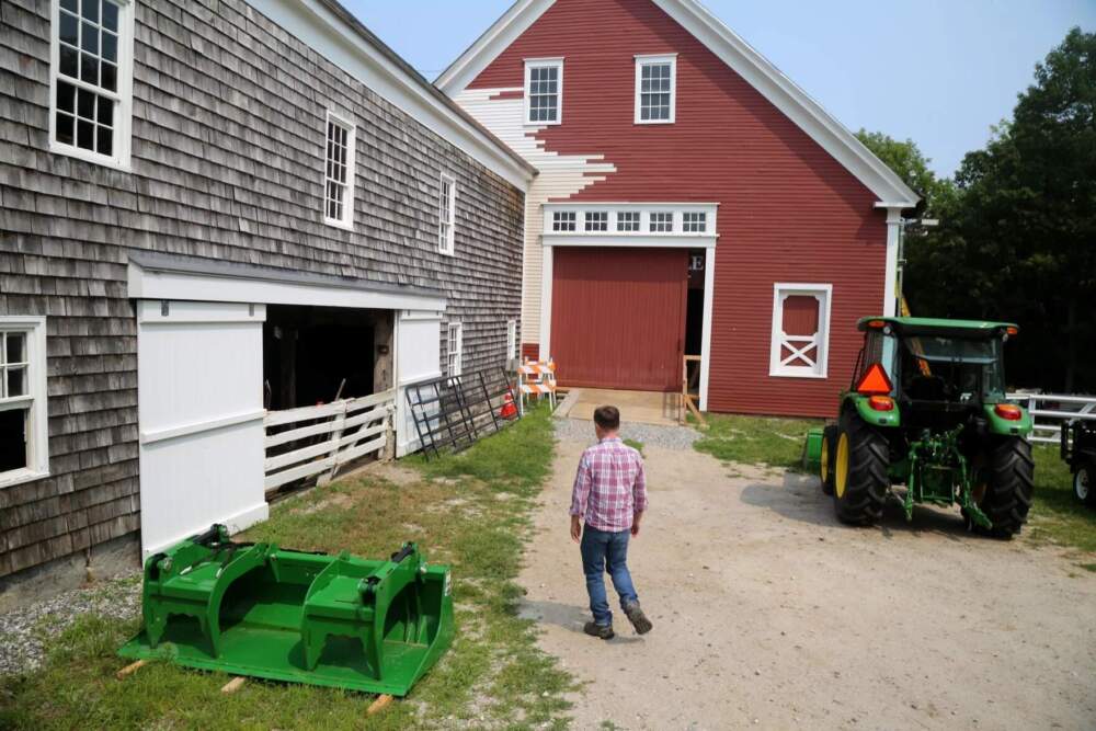 Village Director Michael Graham walking to the hay barn and the sheep pen. (Esta Pratt-Kielley/Maine Public)