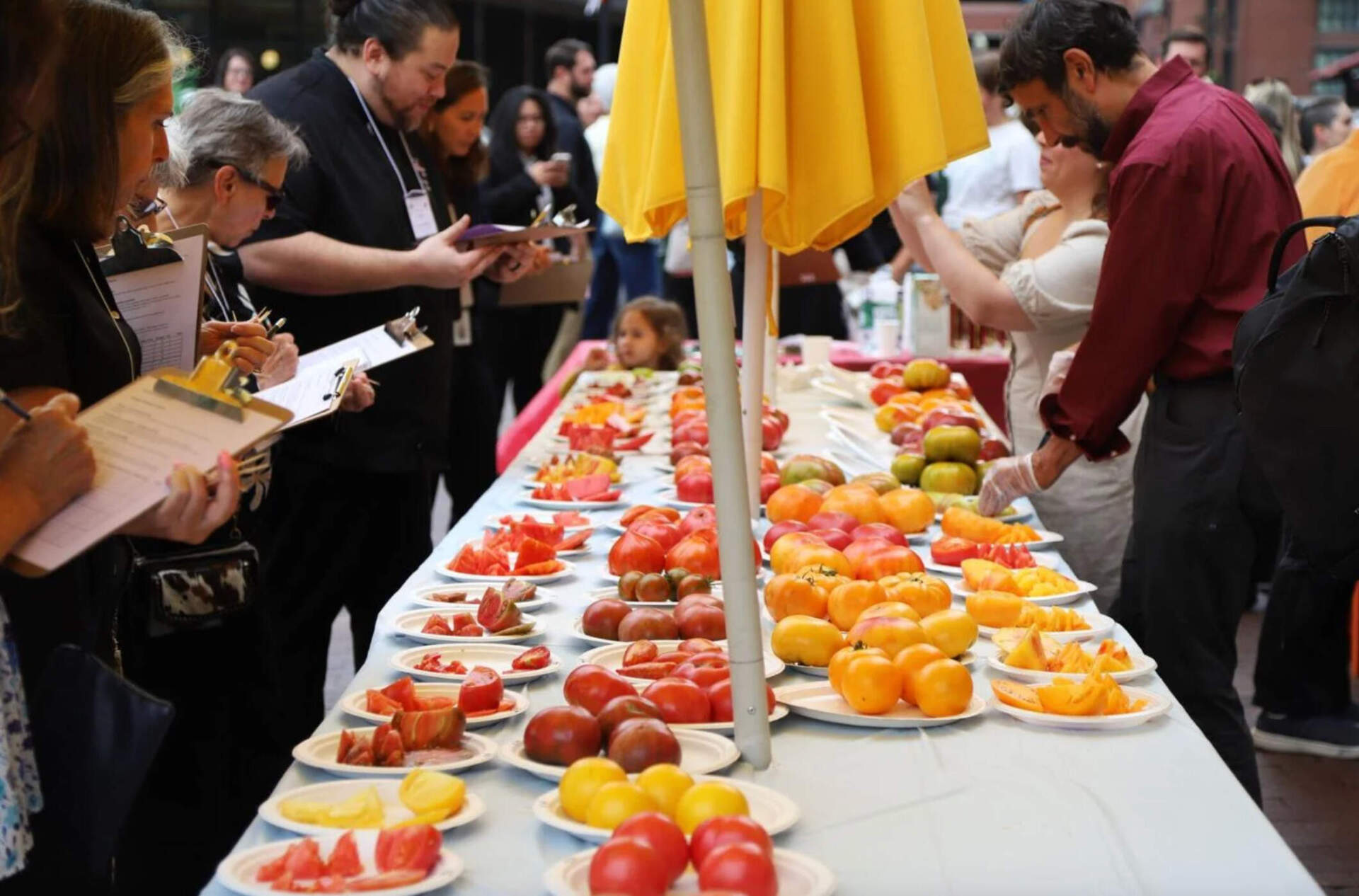 Judges try a variety of heirloom tomatoes during the 40th annual Massachusetts Tomato Contest on Tuesday in Boston. (Sam Drysdale/SHNS)
