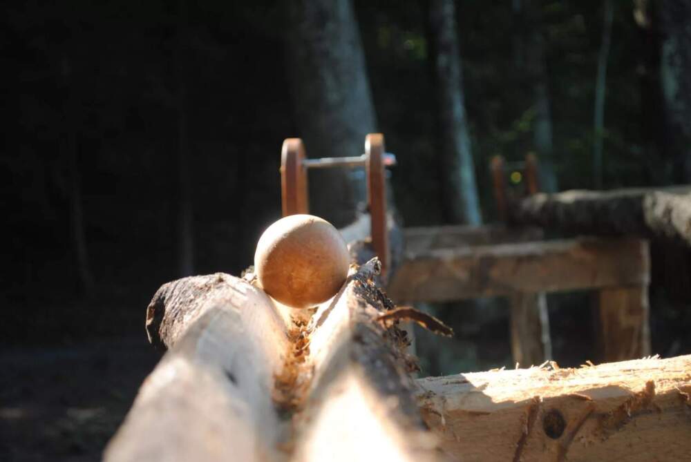 The museum has a number of exhibits along their trails that encourage visitors to be more present. (Courtesy of the Montshire Museum of Science)