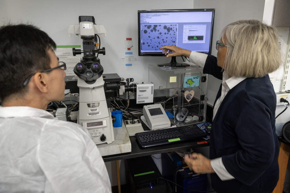 Dr. Joan Brugge discusses an image in a gene testing experiment with a colleague at the Harvard Medical School's Brugge Lab.