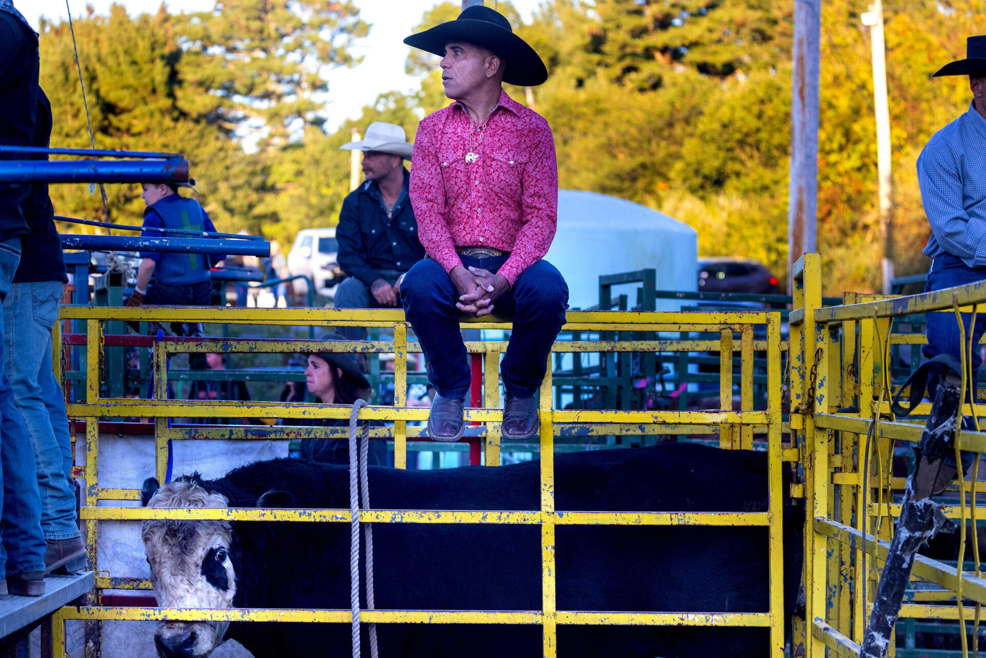 German Gonsalves of the chute crew watches the competition atop the corral at the New England Rodeo at the Rochester Fairgrounds. (Jesse Costa/WBUR)