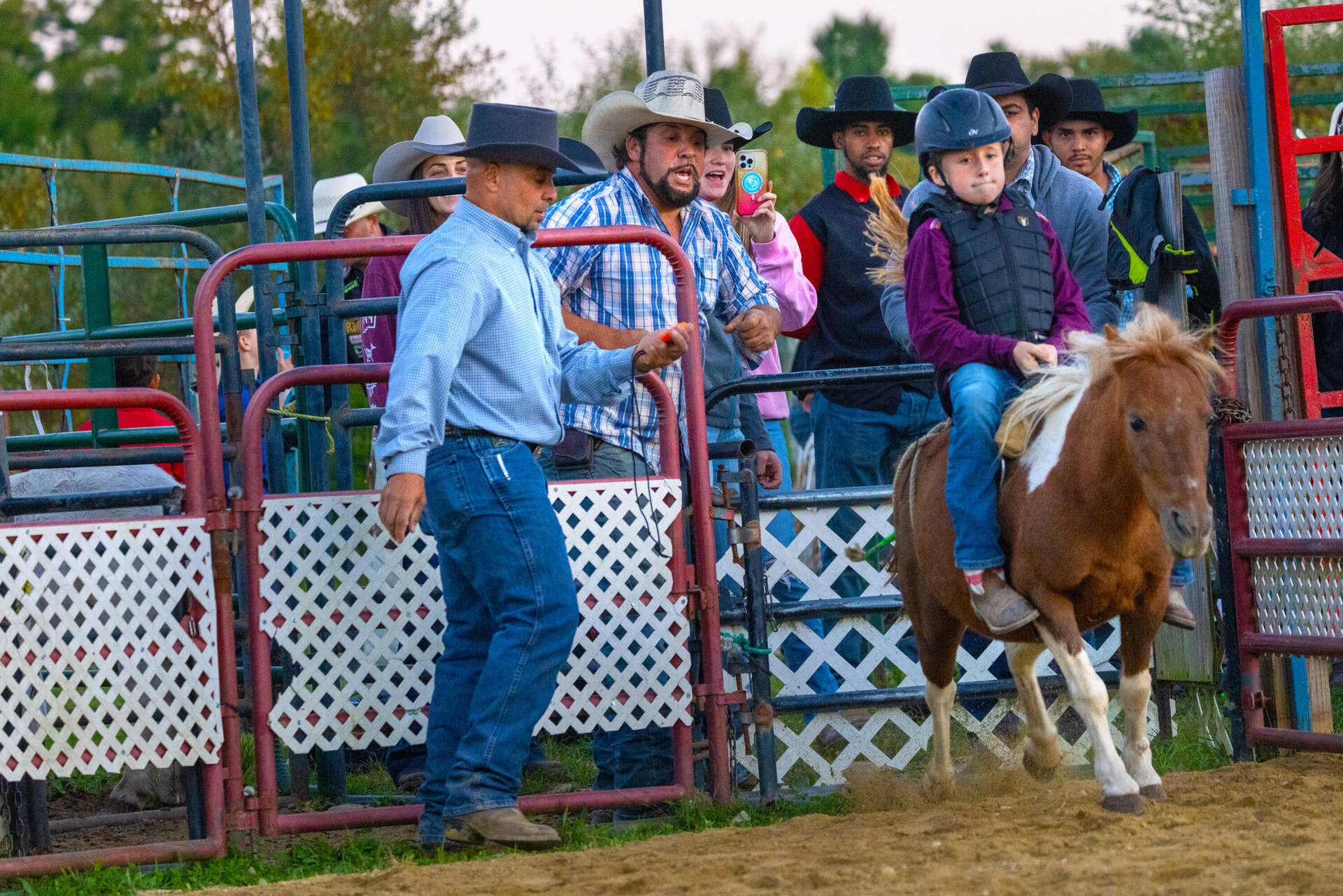 Olivia Fisher of Rochester flies out of the gate on a bucking pony. (Jesse Costa/WBUR)