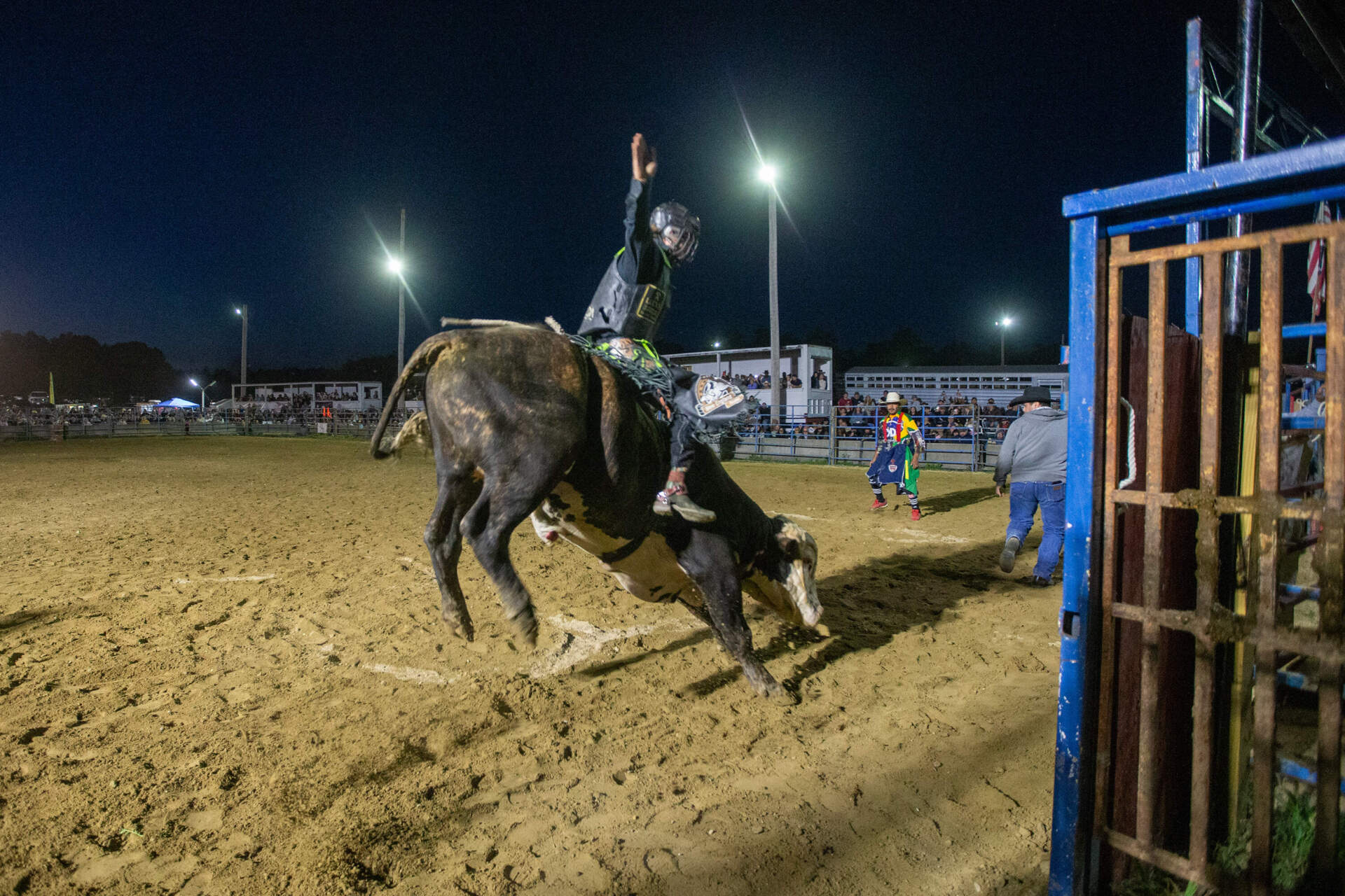 Augusto Vieira rides Tiger during the novice division of the bull riding competition. (Jesse Costa/WBUR)