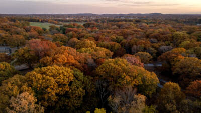 Fall in Boston is getting warmer. It could spell changes for foliage and crops