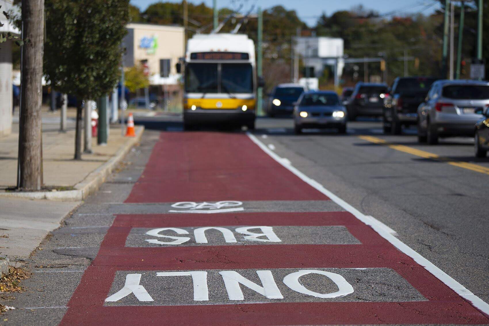 An MBTA bus enters the red-painted lane restricted for buses and bicycles on Mt. Auburn Street at the Cambridge/Watertown line. (Jesse Costa/WBUR)