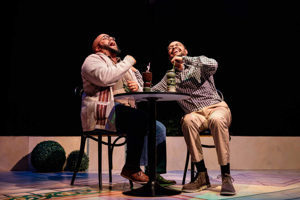 Arthur Gomez (left) and David J. Castillo in SpeakEasy Stage Company's "Primary Trust." (Courtesy Benjamin Rose Photography)