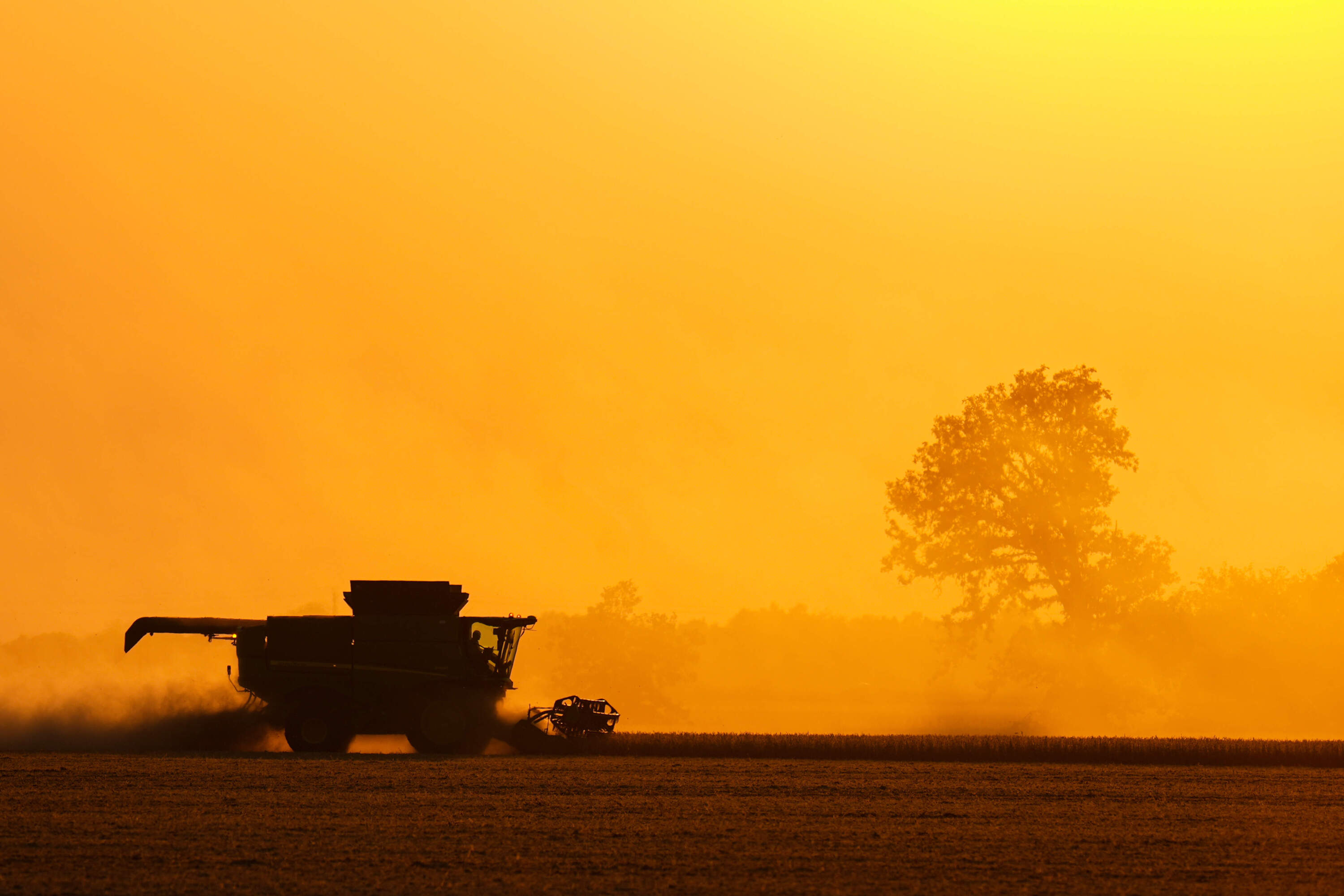 Soybeans are harvested on the Warpup Farm in Warren, Ind., Wednesday, Sept. 17, 2025. (Michael Conroy/AP)