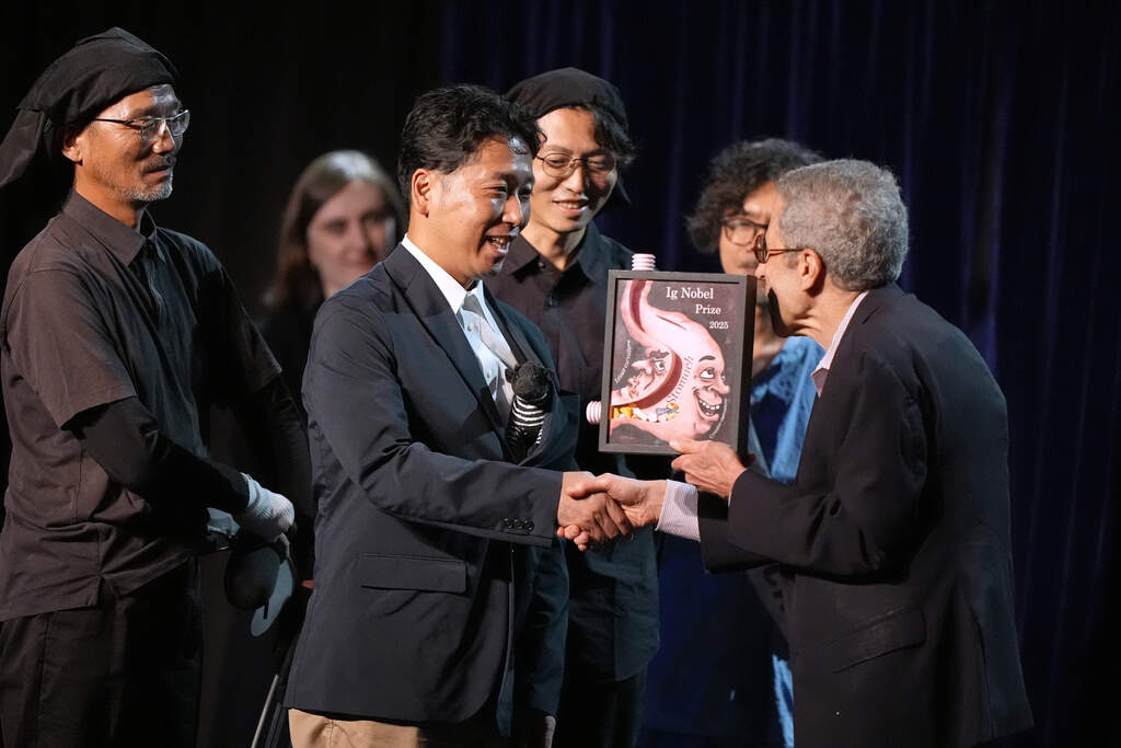 The Ig Nobel Prize for biology is accepted by Tomoki Kojima, Kazato Oishi, Yasushi Matsubara, Yuki Uchiyama, Yoshihiko Fukushima, Naoto Aoki, Say Sato, Tatsuaki Masuda, Junichi Ueda, Hiroyuki Hirooka, and Katsutoshi Kino, for their experiments to learn whether cows painted with zebra- like striping can avoid being bitten by flies. (Robert F. Bukaty/AP)