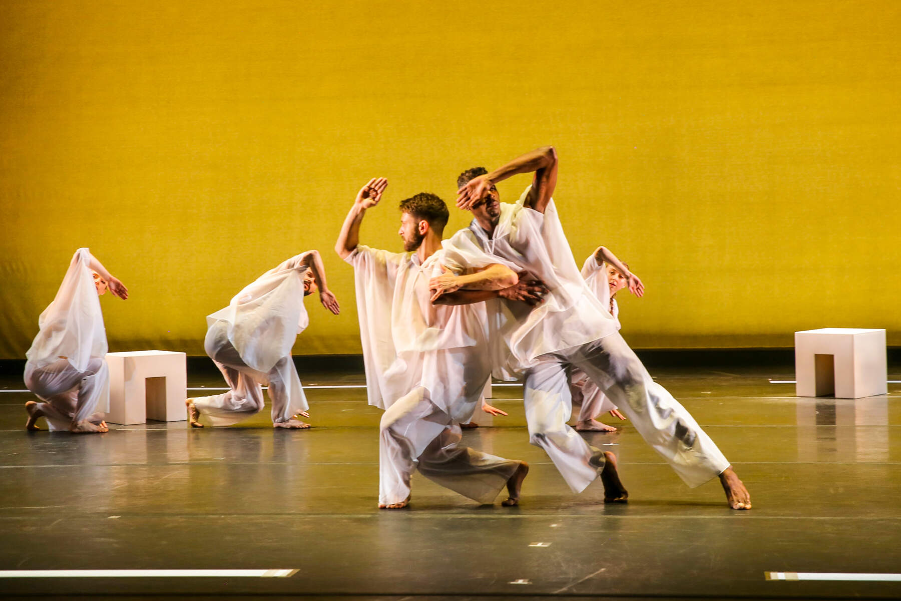 Seán Curran Company performing in April 2025. (Courtesy Julie Lemberger)