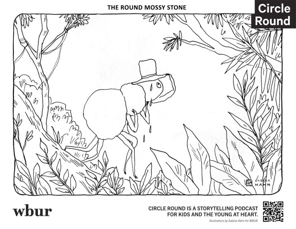 A sweating ant with a top hat. (Sabina Hahn for WBUR)