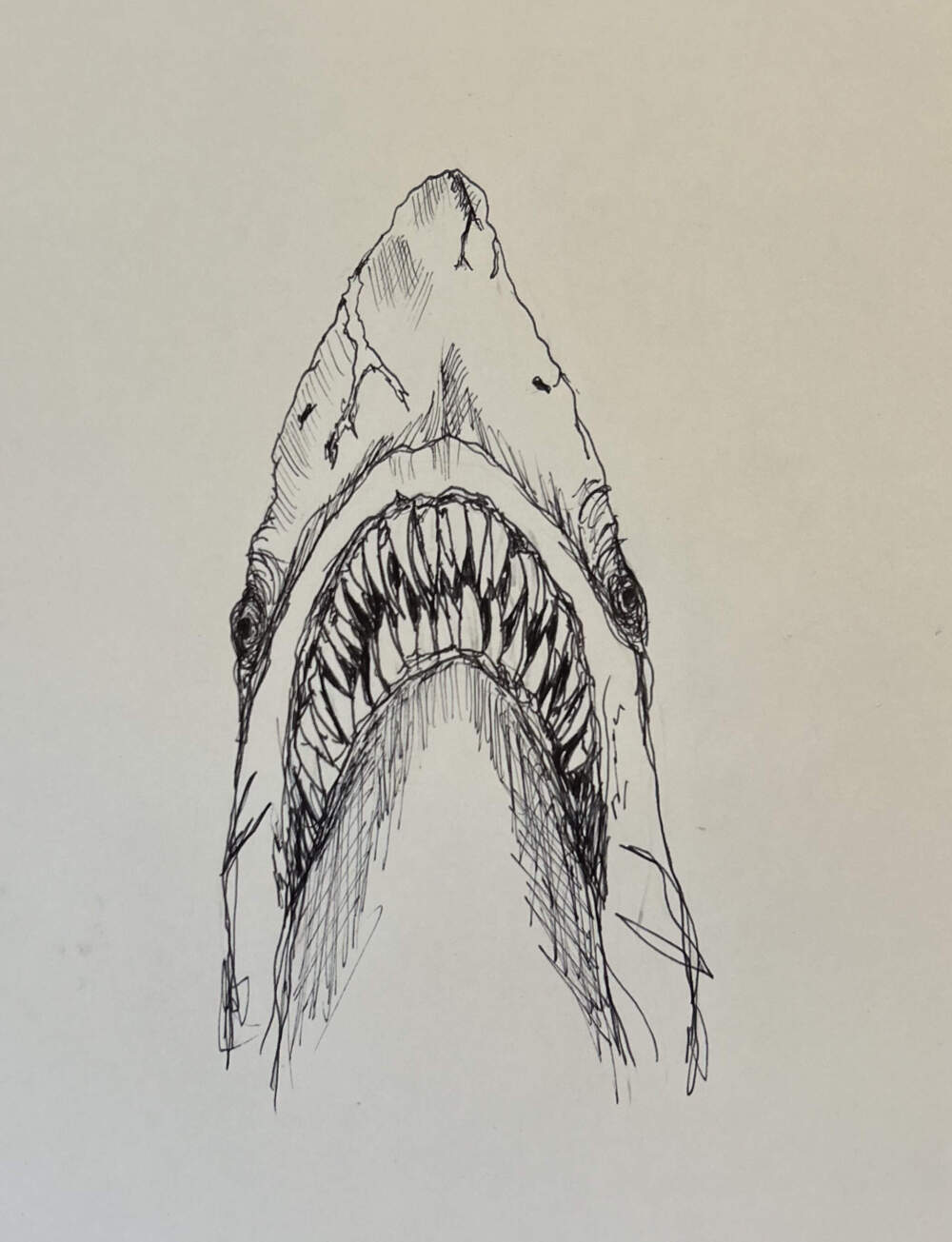 Shark, by Emma Tremblay. (Courtesy Paul Tremblay)