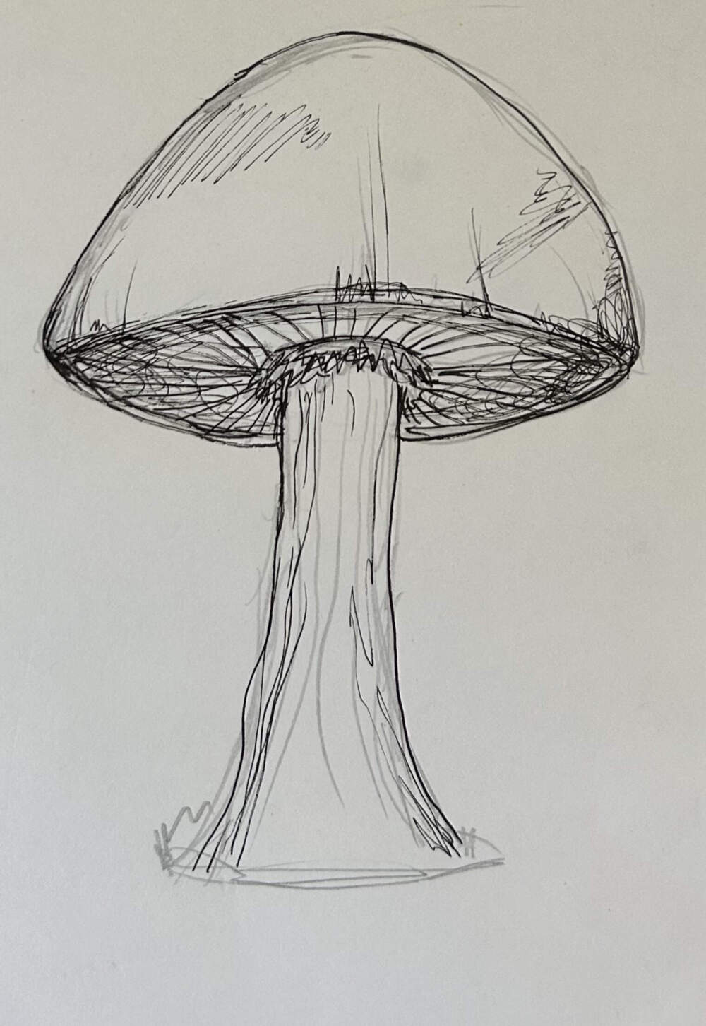 Mushroom by Emma Tremblay (Courtesy, for Paul Tremblay essay)