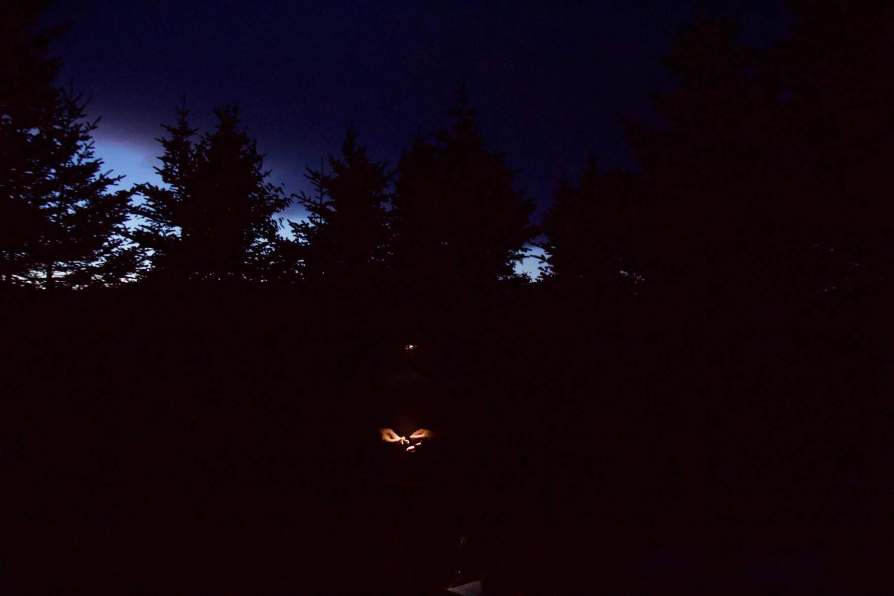 SCIENTISTS COLLECT DATA ON BIRDS AS DUSK GIVES WAY TO NIGHT ATOP MANFIELD. They'll be Awake before dawn to Start again. (ELODIE REED / VERMONT PUBLIC)
