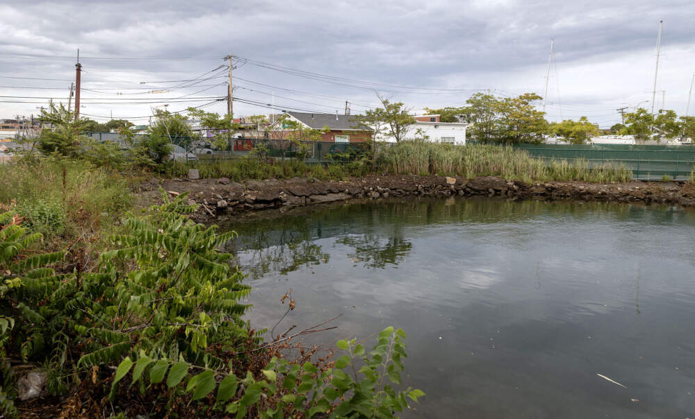 The top of Island End River in Chelsea, where the river enters a culvert and disappears under the city. The area is prone to flooding. (Robin Lubbock/WBUR)