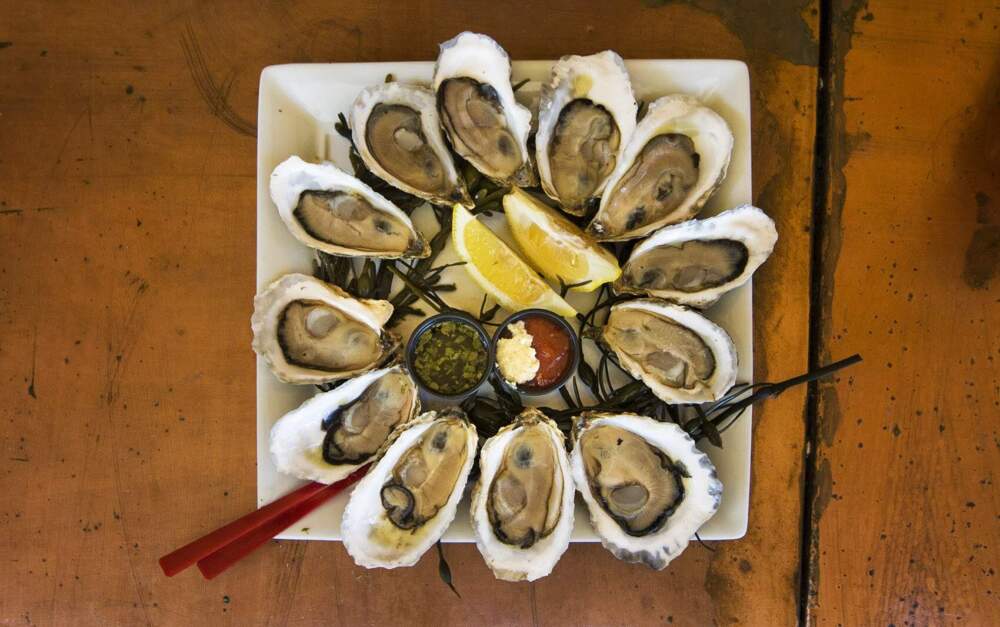 A dozen Wellfleet oysters served at Mac's Shack in Wellfleet. (Jesse Costa/WBUR)