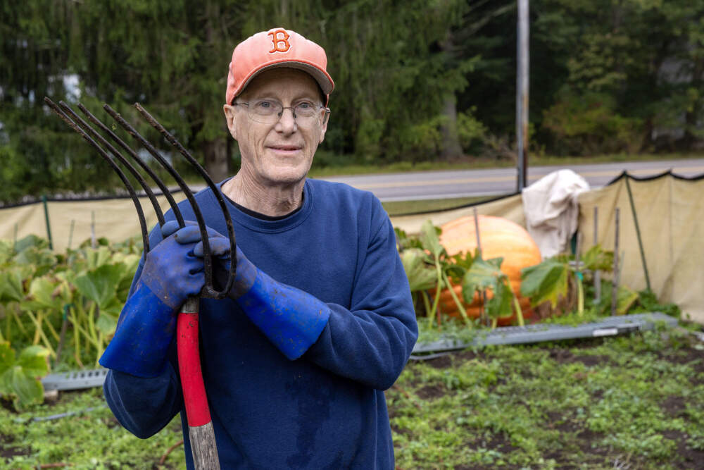 Steve Connolly, in the pumpkin patch where he grows his giant pumpkins. (Robin Lubbock/WBUR)