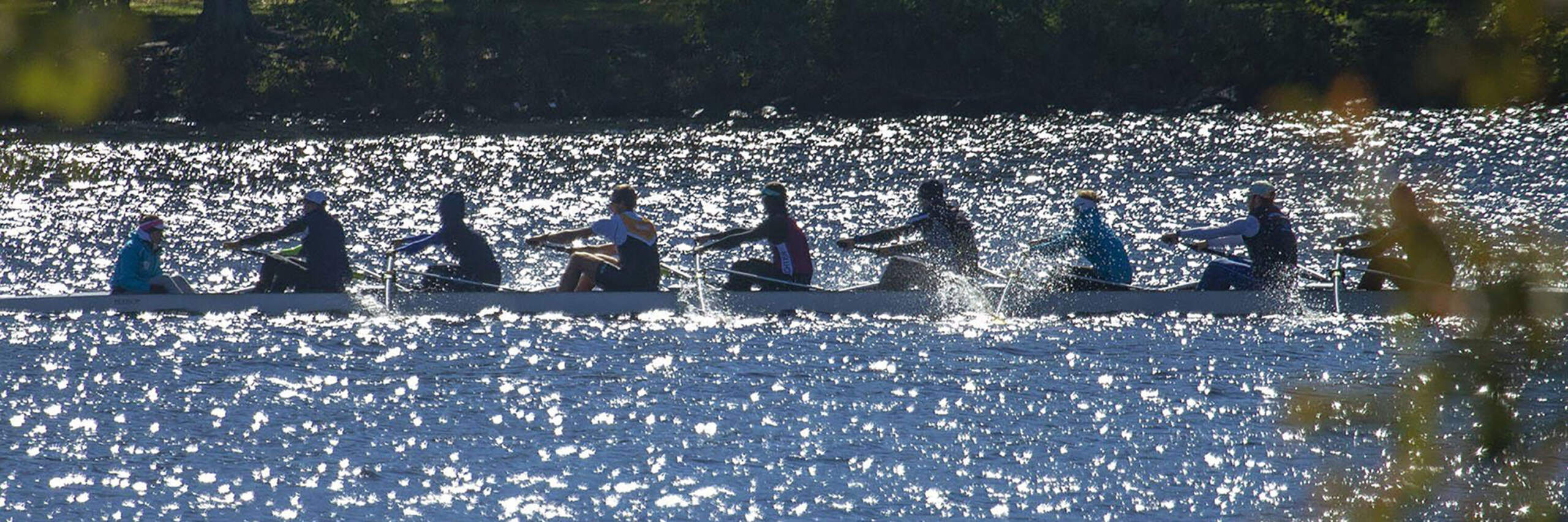 Rowers train on the Charles River two days before the Head of the Charles Regatta. (Jesse Costa/WBUR)