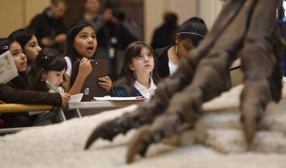 Schoolchildren get a close-up look at the Tyrannosaurus rex skeleton known as Sue on display at Chicago's Field Museum on May 12, 2010, in Chicago. (Kiichiro Sato/AP)