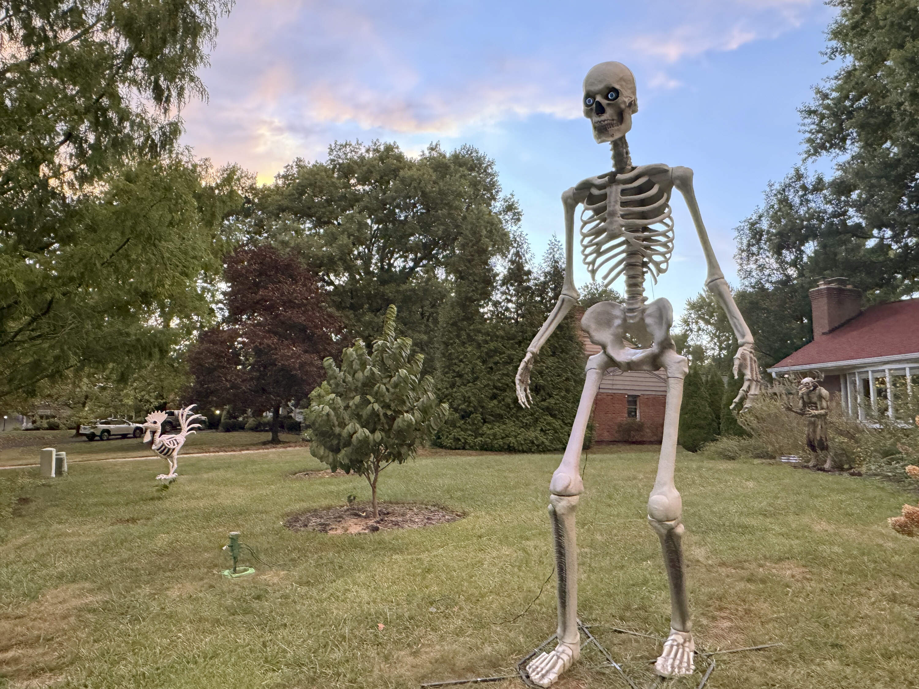 A 12-foot Home Depot skeleton is pictured in the front yard of a Cincinnati home on Sept. 24, 2024. (Sallee Ann Harrison/AP)