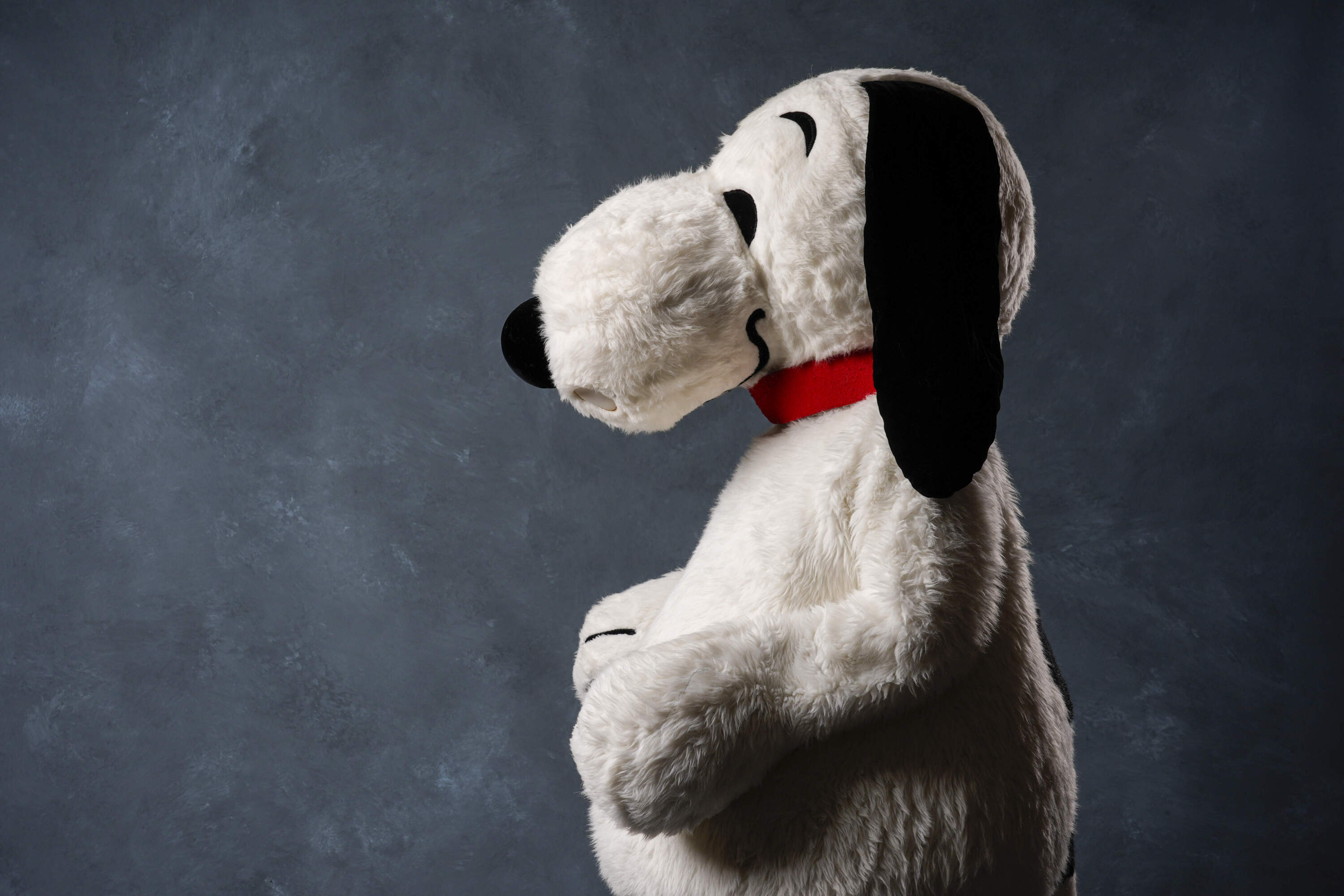 A person dressed as the character Snoopy poses for a portrait to promote the 75th anniversary of "Peanuts" during Comic-Con International on Thursday, July 24, 2025, in San Diego. (Chris Pizzello/AP)