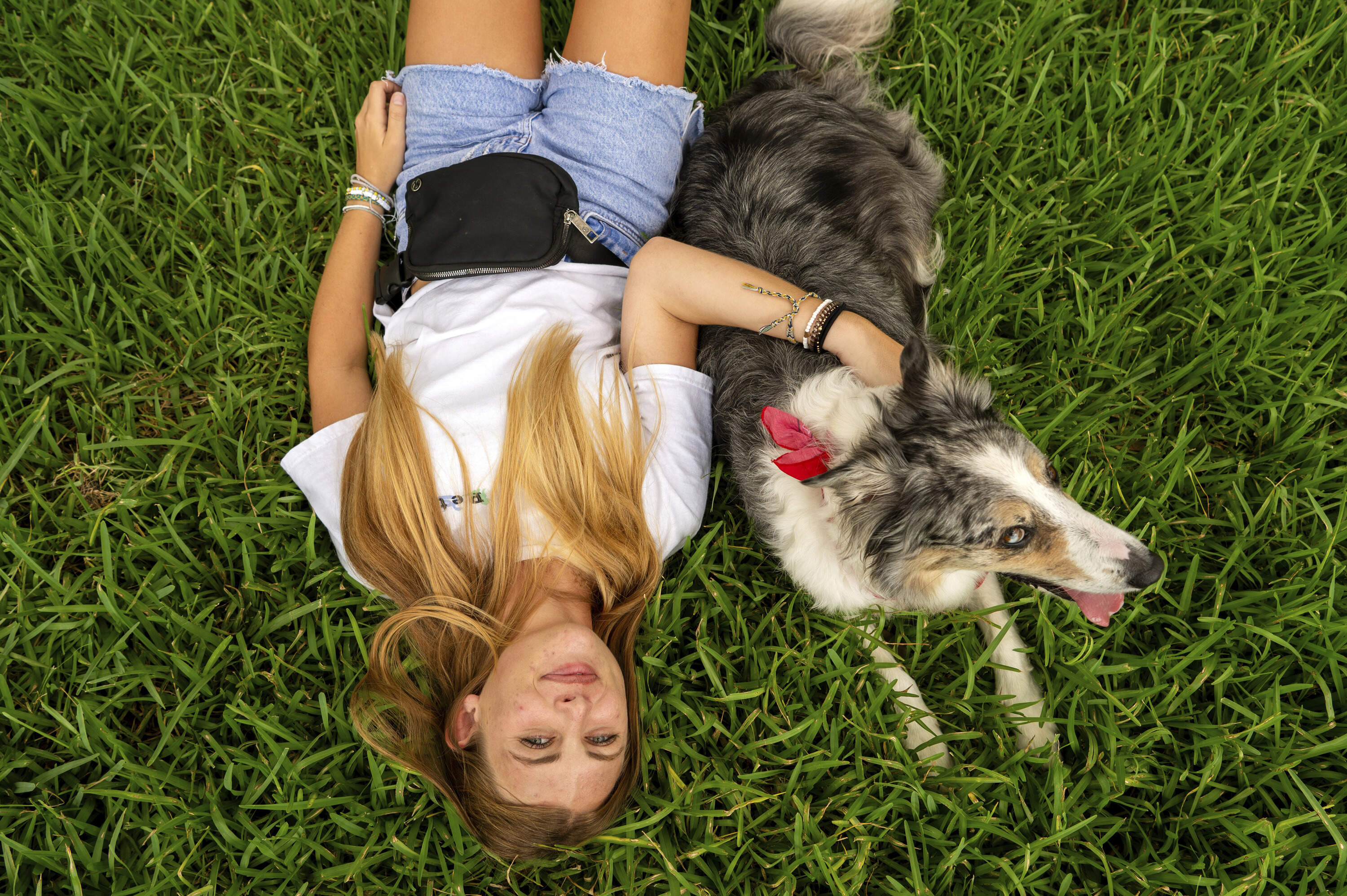 Sophie Nocera, 21, a senior at Eckerd College, poses for a photo with her dog Zuco on Wednesday, Aug. 20, 2025 in St. Petersburg, Fla. (Tina Russell/AP)