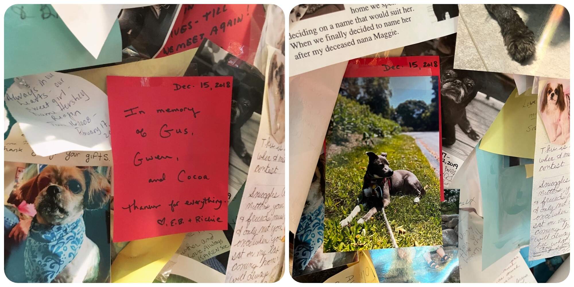 Notes left by the author at the Dog Chapel, on Dog Mountain (Vermont), in 2018 (left) and 2025 (right). (Courtesy E.B. Bartels)