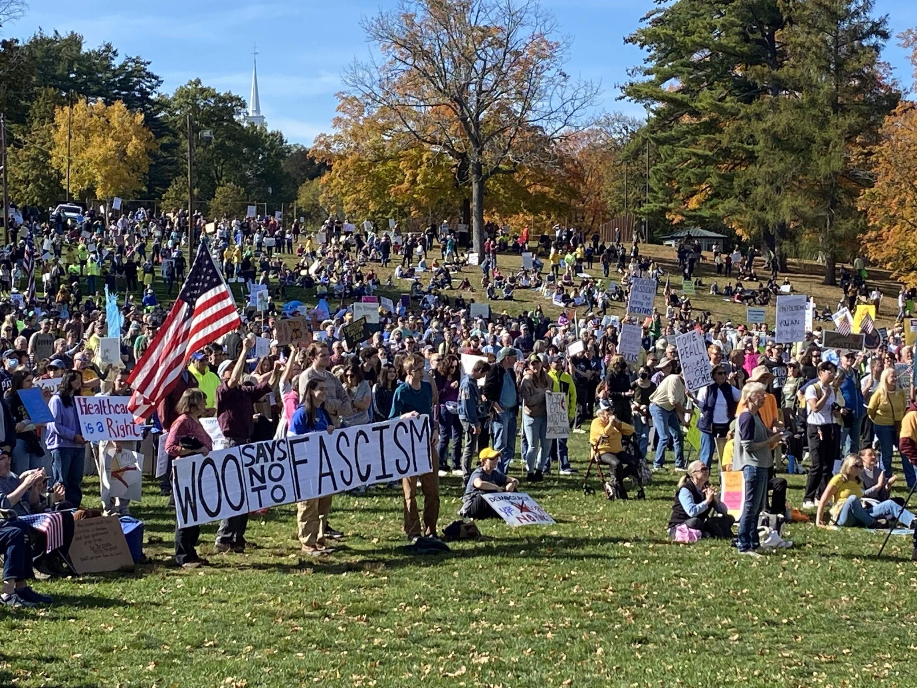 The crowd at Institute Park in Worcester for the "No Kings" rally (Deborah Becker/WBUR)