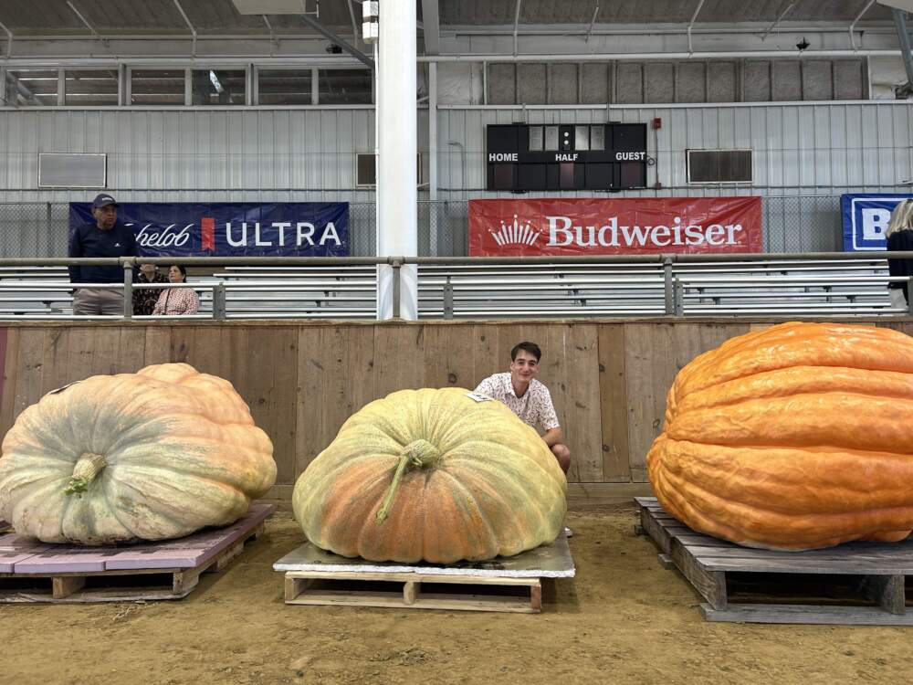 Henry Swenson poses with his pumpkin at the Topsfield Fair. (Amanda Beland/WBUR)