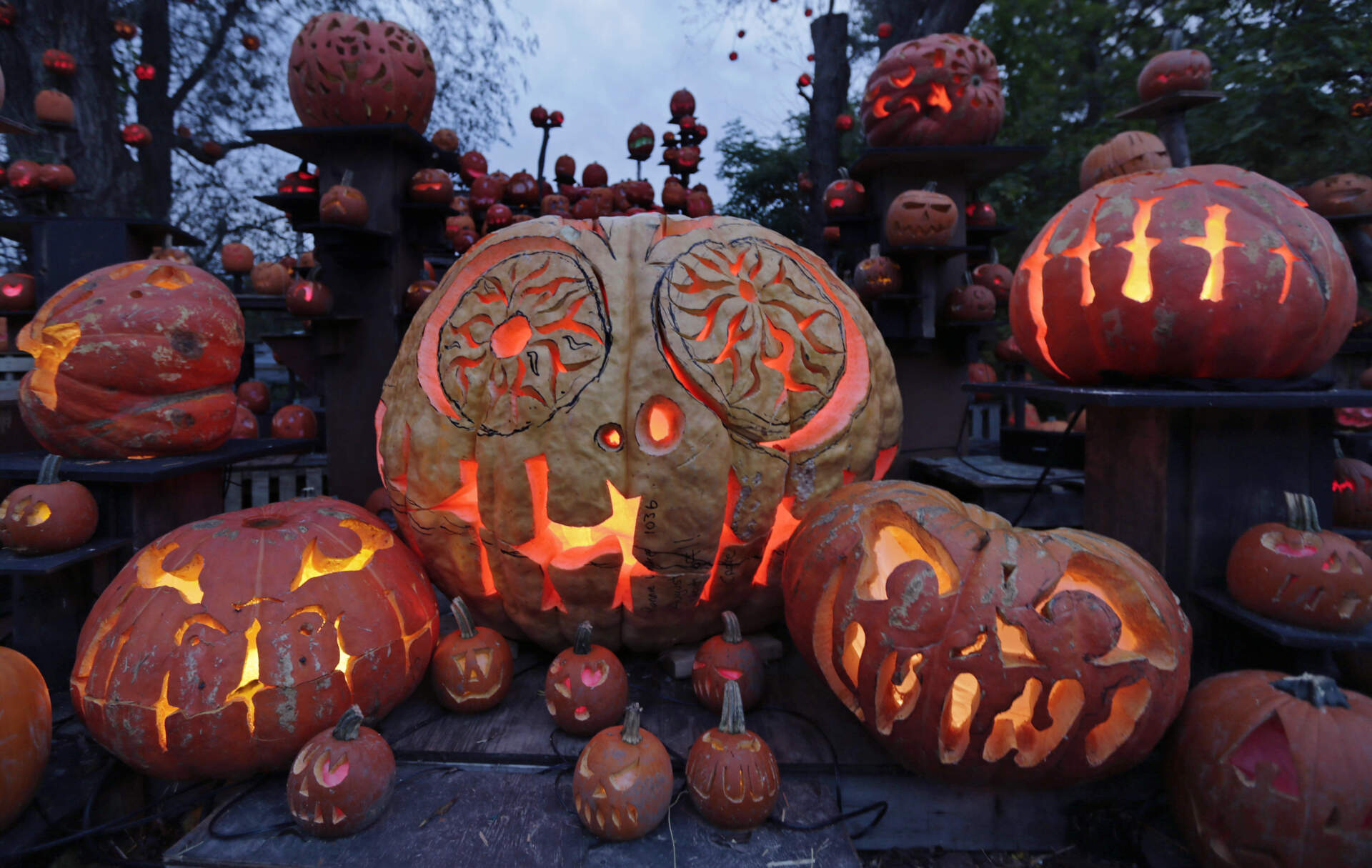 ヴィンテージハロウィン30〜40s復刻　Jack-o'-lantern Cの子 Vintage Inspired Cat Jack-o-lantern, Choose Your Style - Decor Steals