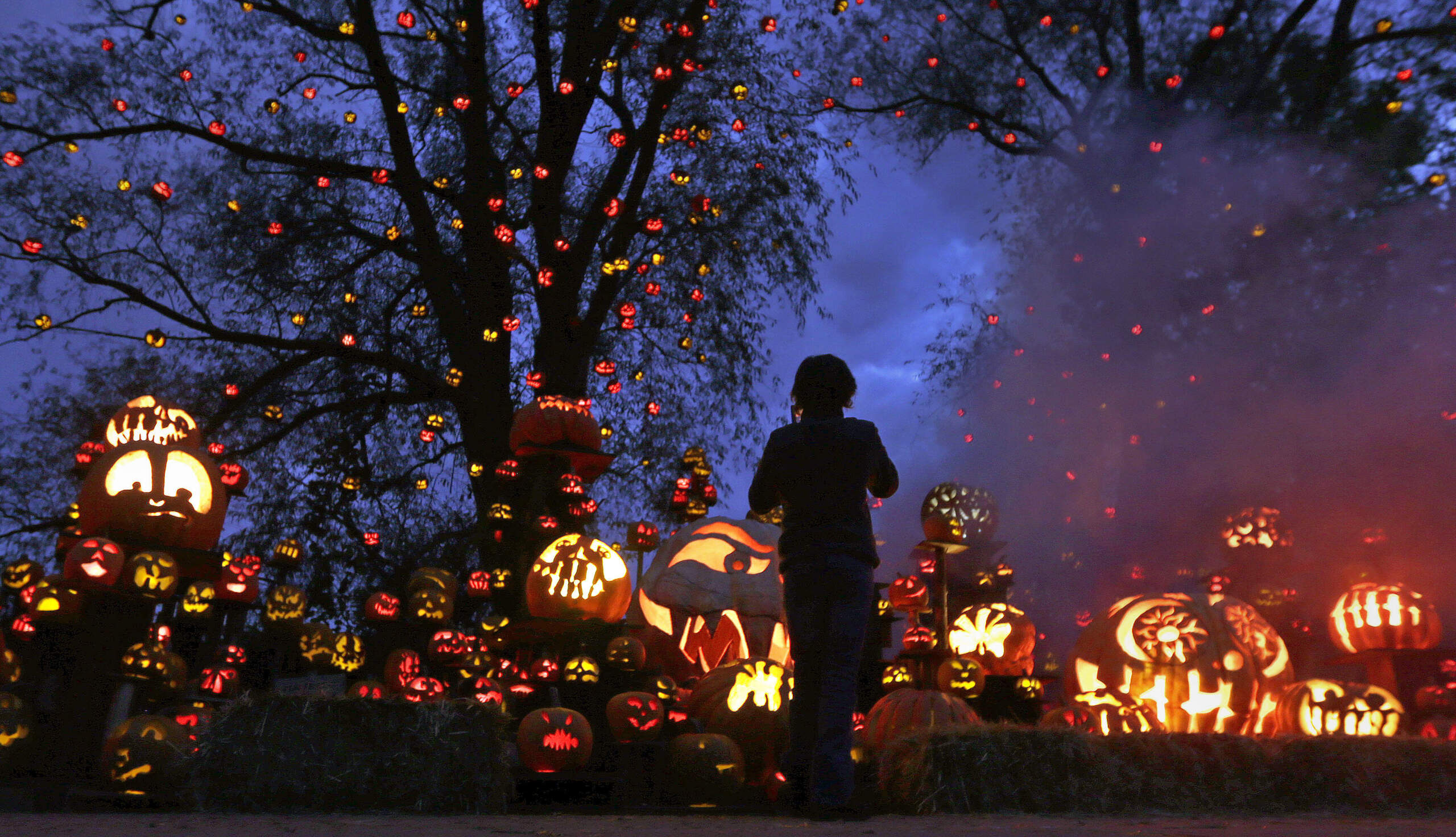 A girl stops to look at the illuminated jack o' lanterns at the Roger Williams Park Zoo in Providence in 2012.