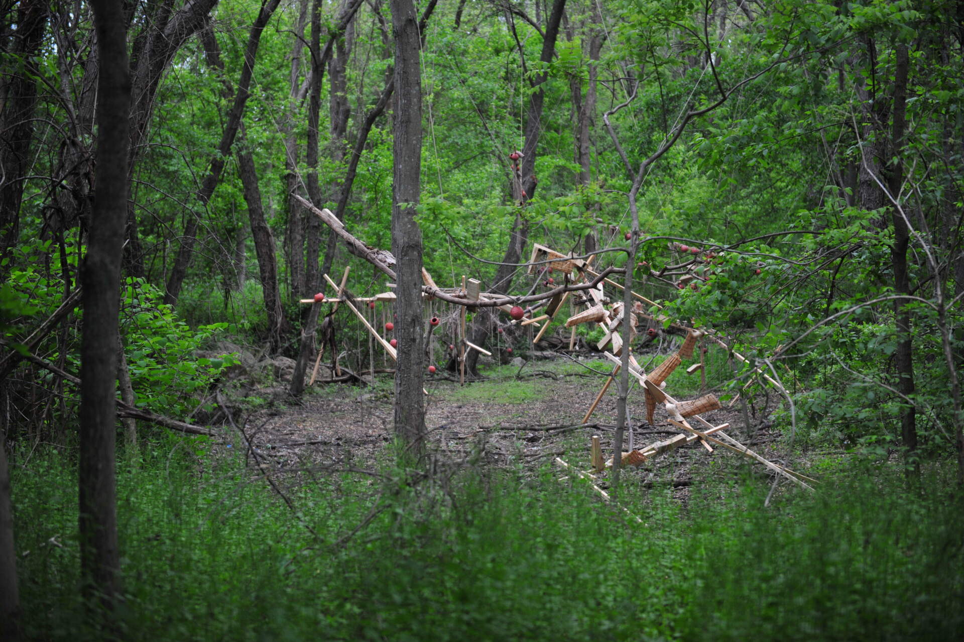 Installation view of artist Laura Lima's "Indistinct Form (Forma Indistinta)" for the Boston Public Art Triennial at Mass Audubon’s Boston Nature Center in Mattapan. (Courtesy Kledia Spiro)