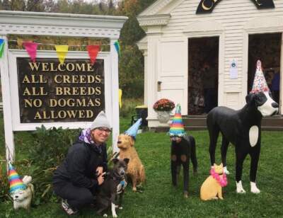 Three seasons at Dog Mountain