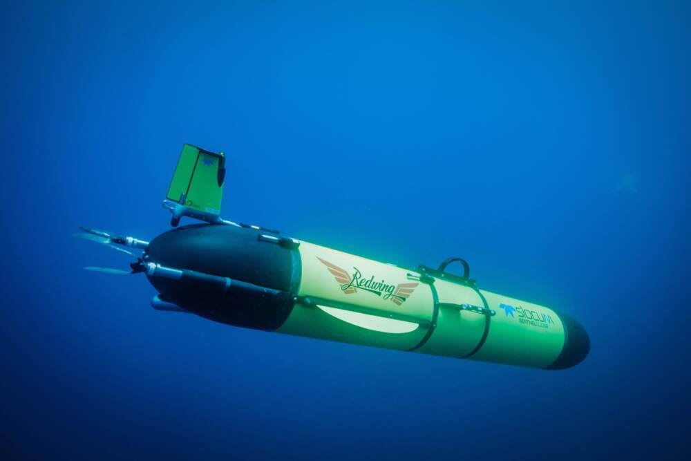 The Redwing underwater glider. Courtesy Teledyne Marine