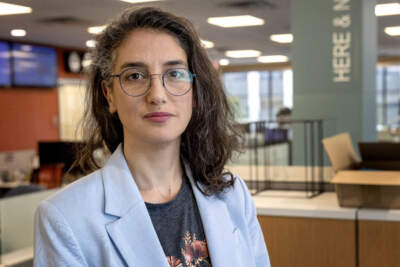 Israeli journalist explores the divide in the American Jewish community